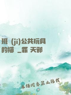 班級(jí)公共玩具的描寫